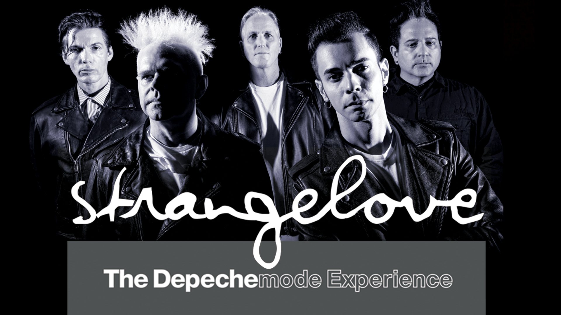 Strangelove Header